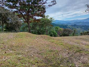 Venta de Lote en Puriscal-Mercedes Sur. RAH 26-2194