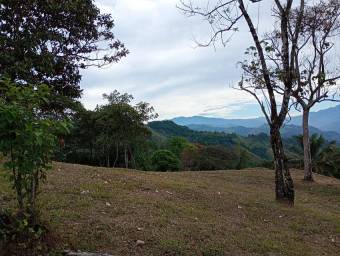 Venta de Lote en Puriscal-Mercedes Sur. RAH 26-2194