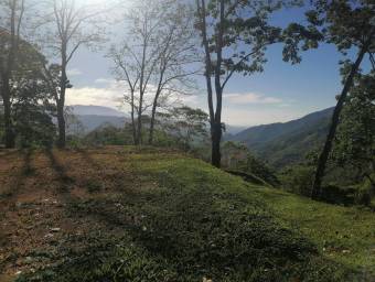 Venta de Lote en Puriscal-Mercedes Sur. RAH 26-2195