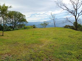 Venta de Lote en Puriscal-Mercedes Sur. RAH 26-2195