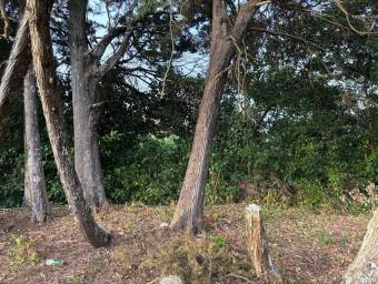 Venta de Lote en San Isidro-San Francisco, Heredia. RAH 26-1366