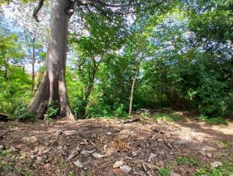 Venta de Lote en Santa Cruz-27 de Abril. RAH 26-2208 Venta de Lote en Santa Cruz-27 de Abril. RAH 26-2208