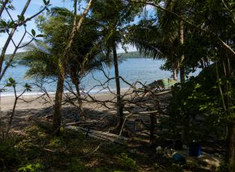 Cedros Island Bioluminescent Paradise of Costa Rica