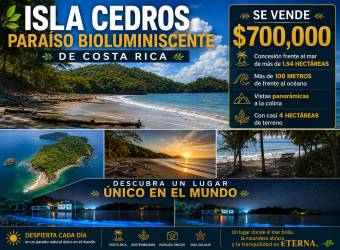 Isla Cedros Paraíso Bioluminiscente de Costa Rica