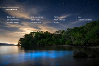 Cedros Island Bioluminescent Paradise of Costa Rica