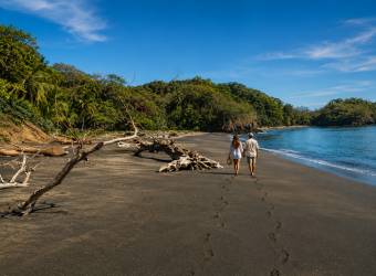 Cedros Island Bioluminescent Paradise of Costa Rica