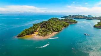 Cedros Island Bioluminescent Paradise of Costa Rica