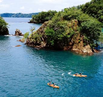 Cedros Island Bioluminescent Paradise of Costa Rica
