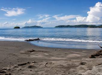 Cedros Island Bioluminescent Paradise of Costa Rica