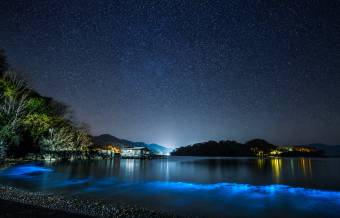 Cedros Island Bioluminescent Paradise of Costa Rica
