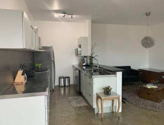 Loft de tres niveles con terraza y vista panorámica #26-560 GS