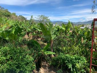 Venta de Lote en Agua Caliente, Cartago. RAH 26-2238 Venta de Lote en Agua Caliente, Cartago. RAH 26-2238