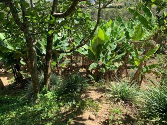 Venta de Lote en Agua Caliente, Cartago. RAH 26-2238 Venta de Lote en Agua Caliente, Cartago. RAH 26-2238