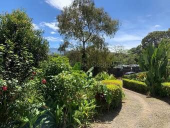 Venta de Lote en Agua Caliente, Cartago. RAH 26-2238 Venta de Lote en Agua Caliente, Cartago. RAH 26-2238
