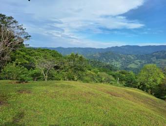 Quinta en venta en San Ramón con vistas a la montaña y naturaleza privada #26-2222 GS