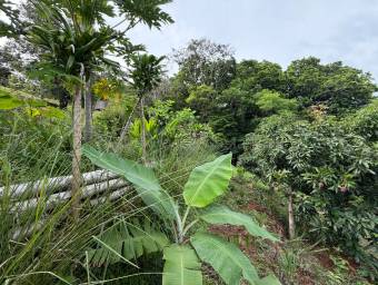 Quinta en venta en San Ramón con vistas a la montaña y naturaleza privada #26-2222 GS