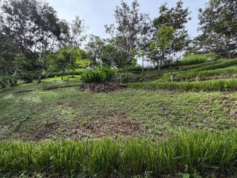 Quinta en venta en San Ramón con vistas a la montaña y naturaleza privada #26-2222 GS