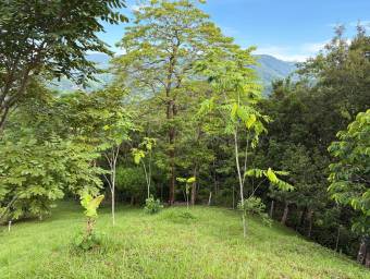 Quinta en venta en San Ramón con vistas a la montaña y naturaleza privada #26-2222 GS