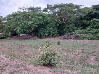 Lote en venta en Santa Cruz con ubicación estratégica cerca de Tamarindo #26-2209 GS