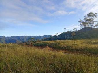 MLS-26-2254 LS VENTA FINCA SAN CARLOS TARRAZU SAN JOSE CONTACTENOS AL # 88987222