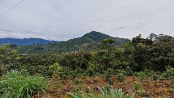 MLS-26-2254 LS VENTA FINCA SAN CARLOS TARRAZU SAN JOSE CONTACTENOS AL # 88987222
