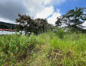 Lote plano en San Pablo de Turrubares con gran potencial residencial #26-1316 GS Lote plano en San Pablo de Turrubares con gran potencial residencial #26-1316 GS