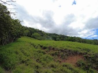 Venta de Finca en Ciudad Colón. RAH 23-3180