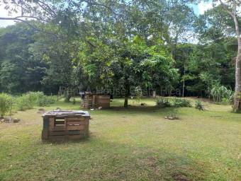 Venta de quinta con cabaña y acceso al río en Guápiles, Limón #26-2237 GS
