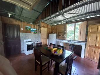 Venta de quinta con cabaña y acceso al río en Guápiles, Limón #26-2237 GS