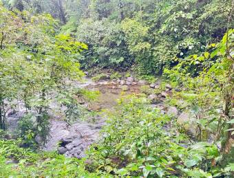 Venta de quinta con cabaña y acceso al río en Guápiles, Limón #26-2237 GS