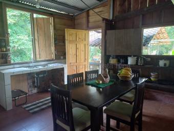 Venta de quinta con cabaña y acceso al río en Guápiles, Limón #26-2237 GS