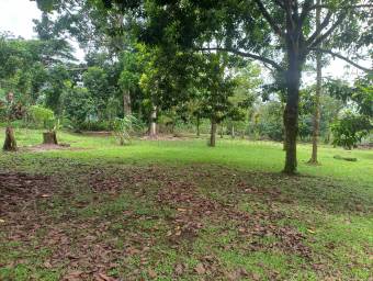 Venta de quinta con casa rodeada de naturaleza y privacidad en Guápiles #26-2259 GS