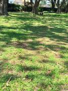 Venta Lote Hacienda los Reyes La Guácima 900m2