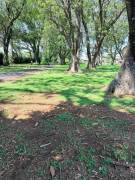 Venta Lote Hacienda los Reyes La Guácima 900m2