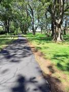 Venta Lote Hacienda los Reyes La Guácima 900m2