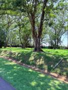 Venta Lote Hacienda los Reyes La Guácima 900m2