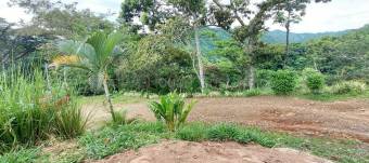 Venta propiedad con apartamento, doble acceso y gran potencial #26-2236 GS