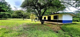Farm For Sale, Guácimo, Limón