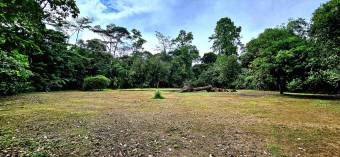 Farm For Sale, Guácimo, Limón