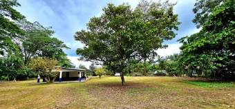Farm For Sale, Guácimo, Limón