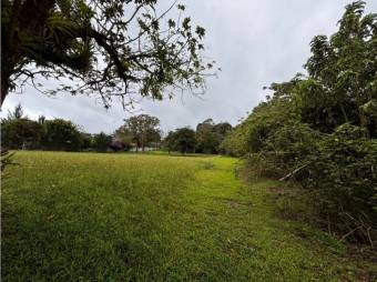 VENTA DE LOTE, USO MIXTO, HEREDIA, SANTO DOMINGO, SAN LUIS - 2421272