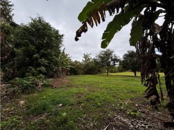 VENTA DE LOTE, USO MIXTO, HEREDIA, SANTO DOMINGO, SAN LUIS - 2421272