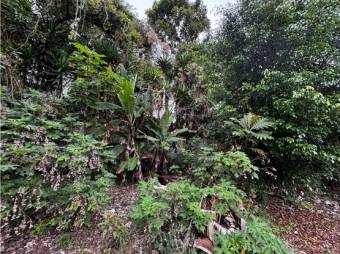 VENTA DE LOTE, USO MIXTO, HEREDIA, SANTO DOMINGO, SAN LUIS - 2421272