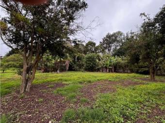 VENTA DE LOTE, USO MIXTO, HEREDIA, SANTO DOMINGO, SAN LUIS - 2421272
