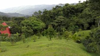 For sale big property with 3 houses in Puriscal