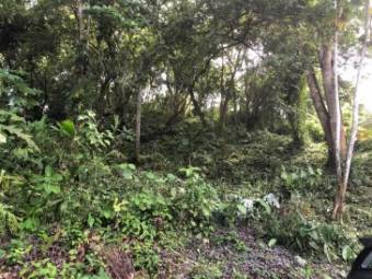 Beautiful Jungle Lot located in Manuel Antonio Quepos, and close to shops and restaurants