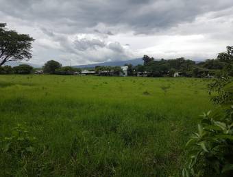 V#35 Finca Céntrica en Venta/ Alajuela