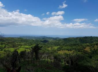 V#201 Maravillosa Finca en Venta/Guanacaste