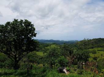 V#201 Maravillosa Finca en Venta/Guanacaste