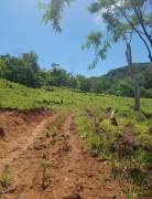 V#201 Maravillosa Finca en Venta/Guanacaste